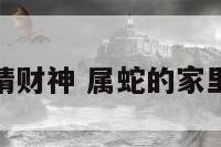 属蛇的家里请财神 属蛇的家里供财神方位