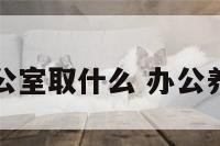 养鱼办公室取什么 办公养鱼风水
