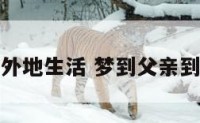 梦到父亲到外地生活 梦到父亲到外地生活了