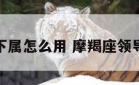 摩羯座的下属怎么用 摩羯座领导有哪些人