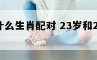 23岁和什么生肖配对 23岁和22岁相配吗