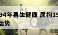 属狗1994年男生健康 属狗1994年男生健康运势