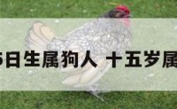 15日生属狗人 十五岁属狗