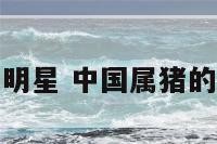 属猪中国的女明星 中国属猪的女明星有哪些