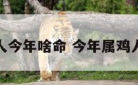 属鸡的人今年啥命 今年属鸡人的命运
