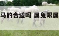 属兔的跟属马的合适吗 属兔跟属马的属相好不好