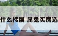 属兔选房子什么楼层 属兔买房选几楼比较好