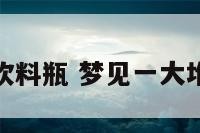 梦见成堆的饮料瓶 梦见一大堆瓶装的饮料