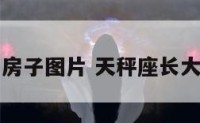 天秤座的房子图片 天秤座长大后的房子