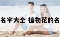 植物花名字大全 植物花的名字大全