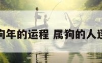 属狗在狗年的运程 属狗的人逐年运势