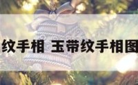 玉带纹手相 玉带纹手相图解女