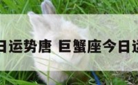 巨蟹座今日运势唐 巨蟹座今日运势查询运