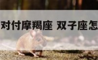 双子座怎么对付摩羯座 双子座怎么对付摩羯座的