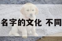 不同国家关于名字的文化 不同国家文字昵称