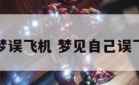 解梦误飞机 梦见自己误飞机