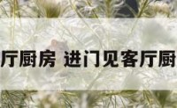 进门见客厅厨房 进门见客厅厨房好不好