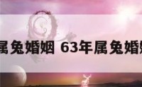 1963属兔婚姻 63年属兔婚姻命运