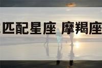 摩羯座的男生匹配星座 摩羯座男匹配伴侣星座