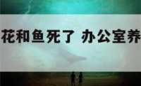 办公室养的花和鱼死了 办公室养鱼死了会影响财运吗