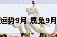 属兔本周运势9月 属兔9月运势查询