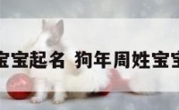 狗年周姓宝宝起名 狗年周姓宝宝起名男孩