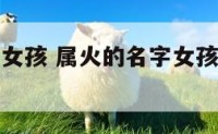 属火的名字女孩 属火的名字女孩单字叶姓有哪些