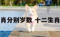 十二生肖分别岁数 十二生肖岁数表