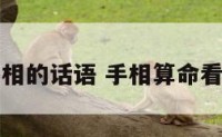 算手相的话语 手相算命看手相