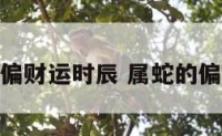 属蛇偏财运时辰 属蛇的偏财运