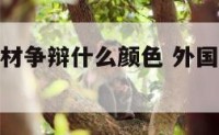 老外抬着棺材争辩什么颜色 外国人抬棺材跳舞mv