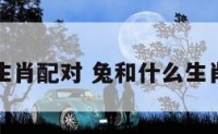 兔和十二生肖配对 兔和什么生肖相配婚姻