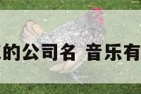蕴含音乐意义的公司名 音乐有关的公司名字