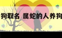 属蛇的人给狗取名 属蛇的人养狗狗取什么名字好