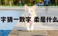 柔字猜一数字 柔是什么字