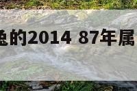 87年属兔的2014 87年属兔的2026年运势