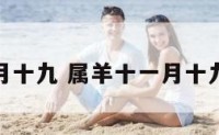 属羊十一月十九 属羊十一月十九是什么命