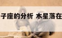 木星落在双子座的分析 木星落在双子座为陷落