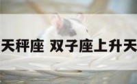 双子座上升天秤座 双子座上升天秤月亮天秤