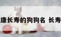 代表健康长寿的狗狗名 长寿命的狗