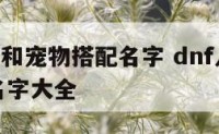dnf人物和宠物搭配名字 dnf人物和宠物搭配名字大全