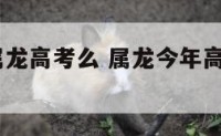 2018年属龙高考么 属龙今年高考运怎么样