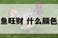 什么颜色的鱼旺财 什么颜色的鱼招财运