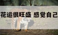 感觉自己桃花运很旺盛 感觉自己桃花太旺怎么办