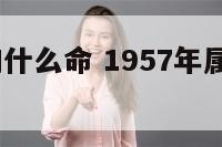 57年属狗什么命 1957年属狗的2021年运势