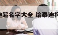 给小狗泰迪起名字大全 给泰迪狗起名字 可爱