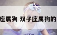 B型双子座属狗 双子座属狗的女人性格