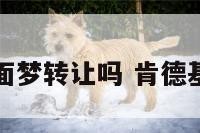 肯德基的店面梦转让吗 肯德基经营权转让