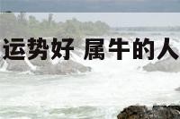 属牛明天几点运势好 属牛的人明日运势和财运