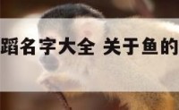 关于鱼的舞蹈名字大全 关于鱼的舞蹈名字大全四个字